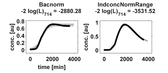 An exemplary data set of synT1 is shown