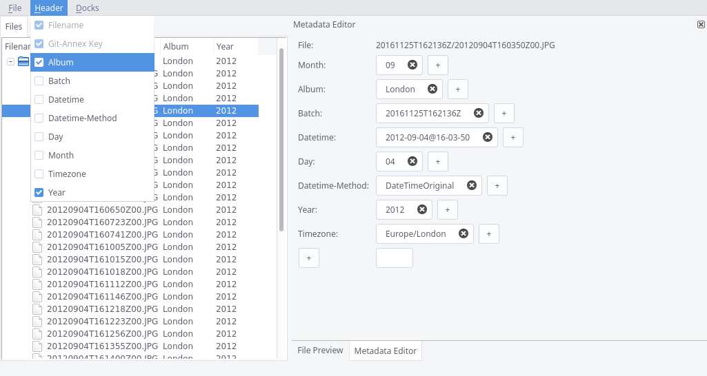 Metadata editor and header fields