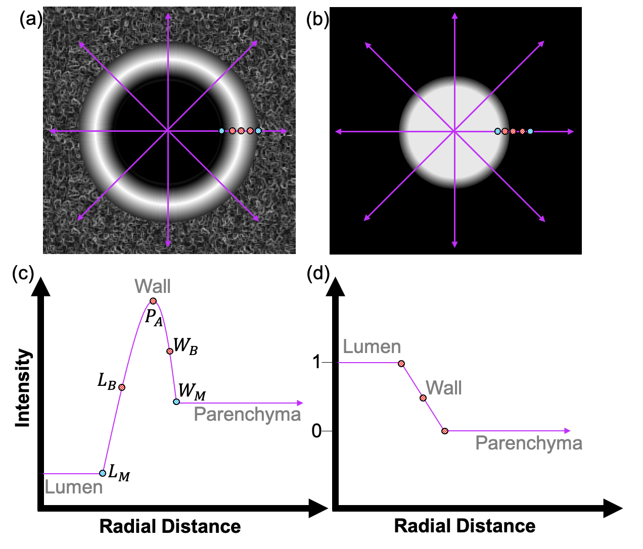 FWHMesl method figure