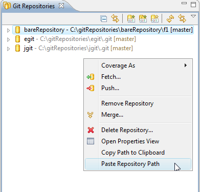 Image:RepoMgrPasteRepositoryPath.png
