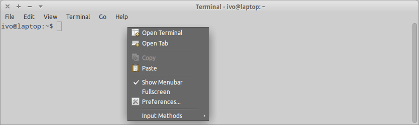 Terminal window on Linux