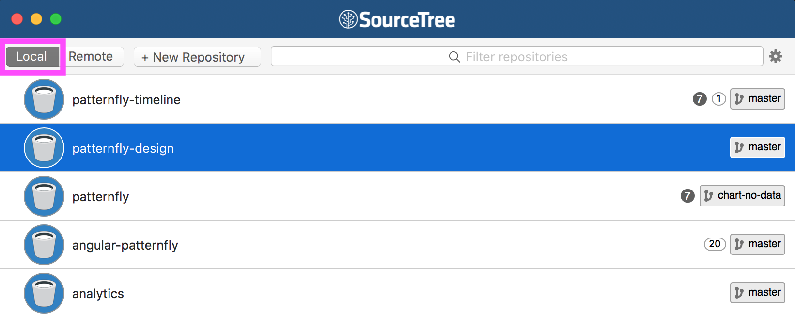 Viewing a local repository